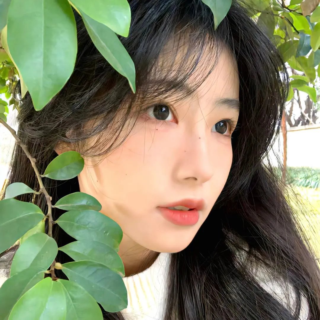 豹头王传说