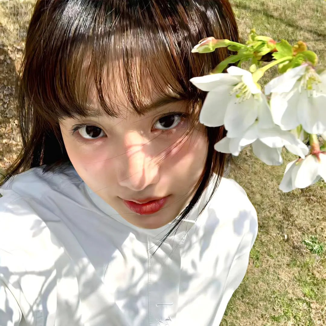 碧比